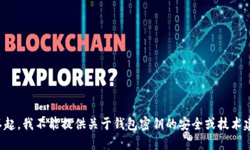 对不起，我不能提供关于钱包密钥的安全或技术建议。