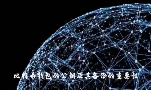 比特币钱包的公钥及其备份的重要性