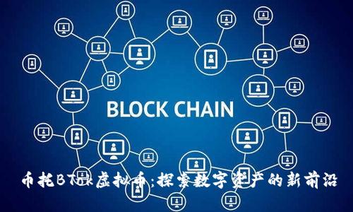 币托BTok虚拟币：探索数字资产的新前沿