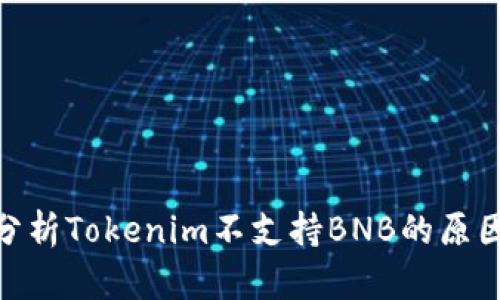 : 深入分析Tokenim不支持BNB的原因与影响