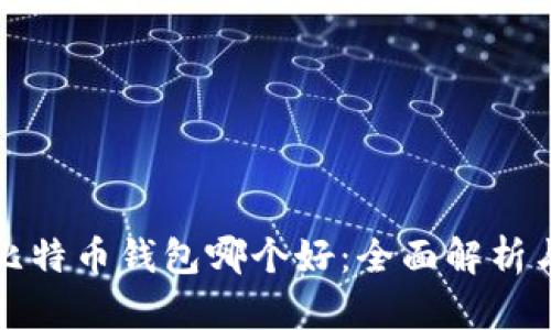 国内比特币钱包哪个好：全面解析与比较