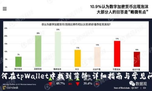 iaoti如何在tpWallet中找到薄饼：详细指南与常见问题解答