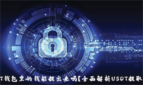   
USDT钱包里的钱能提出来吗？全面解析USDT提取流程