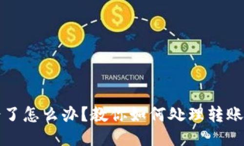 TP钱包转账转错了怎么办？教你如何处理转账错误的几种方法