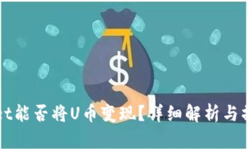 tpWallet能否将U币变现？详细解析与操作指南