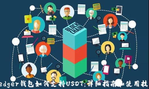 
Ledger钱包如何支持USDT：详细指南和使用技巧