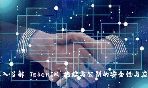 深入了解 TokenIM 地址与公钥的安全性与应用