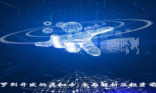 俄罗斯开发的虚拟币：全面解析及投资前景