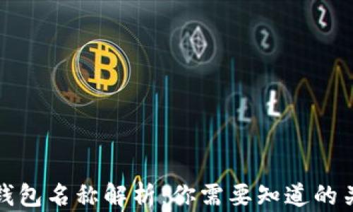 
比特币钱包名称解析：你需要知道的关键概念