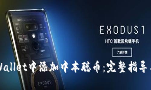 如何在TPWallet中添加中本聪币：完整指导与步骤解析