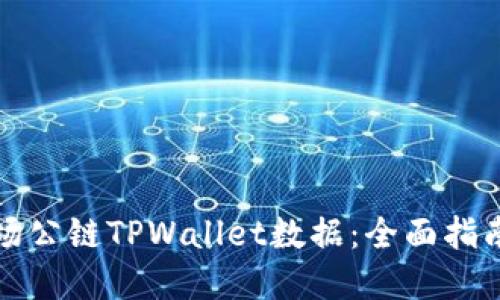 如何查看波场公链TPWallet数据：全面指南与实用工具