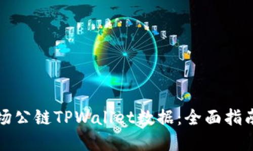 如何查看波场公链TPWallet数据：全面指南与实用工具