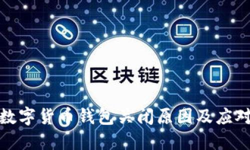建行数字货币钱包关闭原因及应对策略