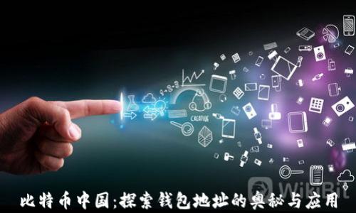
比特币中国：探索钱包地址的奥秘与应用