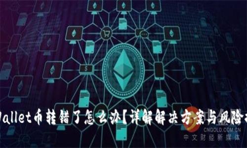 TPWallet币转错了怎么办？详解解决方案与风险控制