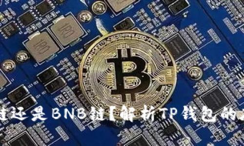TP钱包是智能链还是BNB链？解析TP钱包的底层技术与应用