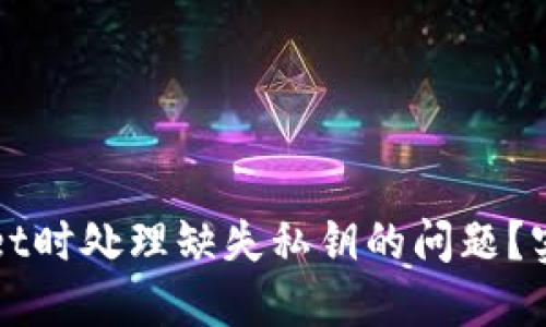 如何在创建TPWallet时处理缺失私钥的问题？实用指南与关键技巧