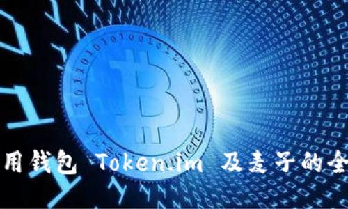 如何使用钱包 Token.im 及麦子的全面指南
