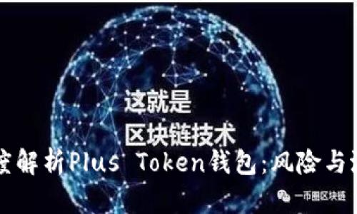 深度解析Plus Token钱包：风险与潜力
