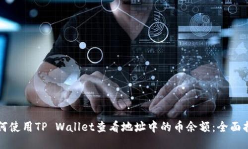 如何使用TP Wallet查看地址中的币余额：全面指南
