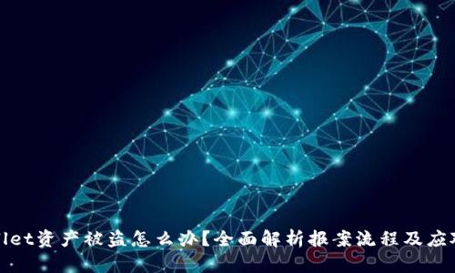 TPWallet资产被盗怎么办？全面解析报案流程及应对措施