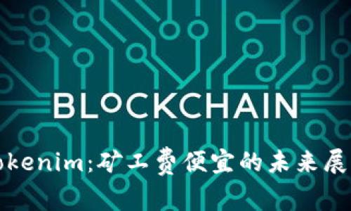 Tokenim：矿工费便宜的未来展望