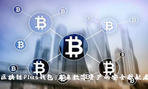 区块链Plus钱包：未来数字资产的安全护航者