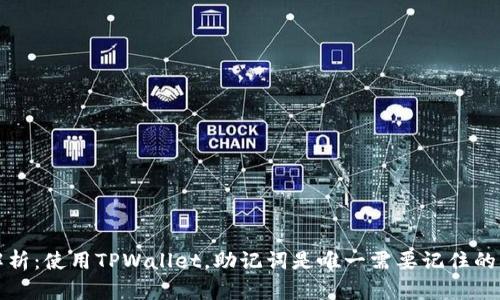  全面解析：使用TPWallet，助记词是唯一需要记住的内容吗？