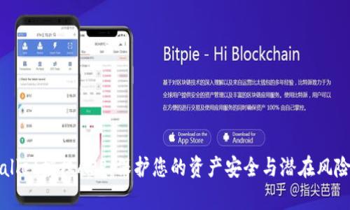 TPWallet授权APP：保护您的资产安全与潜在风险解析