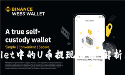 探索波场TPWallet中的U币提现限制：解析原因与解决方案