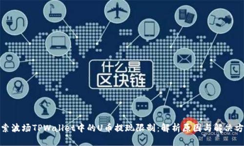 探索波场TPWallet中的U币提现限制：解析原因与解决方案
