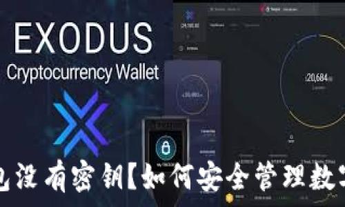  
TP钱包没有密钥？如何安全管理数字资产