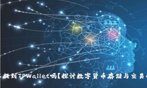 小狗币可以提到TPWallet吗？探讨数字货币存储与交易的最佳选择
