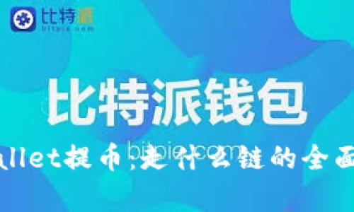 tpWallet提币：走什么链的全面解析