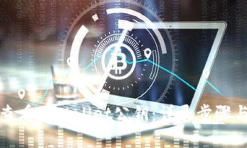 如何查看tpWallet公钥：详尽步骤与技巧