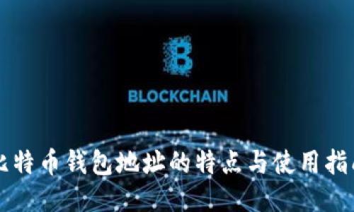 比特币钱包地址的特点与使用指南